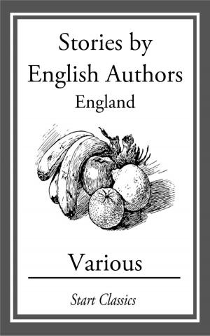 Cover of the book Stories by English Authors by Don Berry