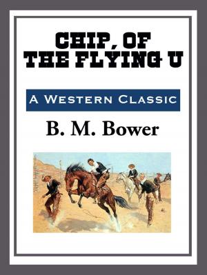 Cover of Chip of the Flying U