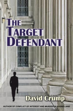 Cover of the book The Target Defendant by Richard Raskin