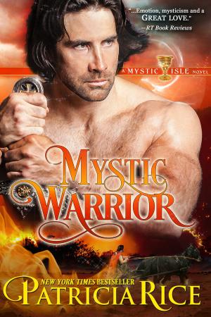 Cover of the book Mystic Warrior by Laura Anne Gilman