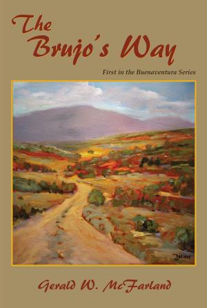 Cover of the book The Brujo's Way by Antonio Cammarata