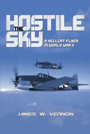 Cover of the book The Hostile Sky by John T. Kuehn