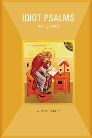 Cover of the book Idiot Psalms by Floyd