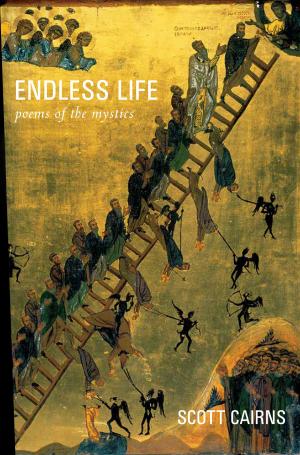 Cover of the book Endless Life by Jack Wintz