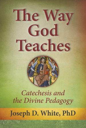 bigCover of the book The Way God Teaches by 