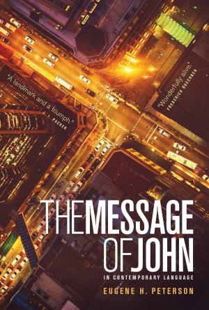 Cover of the book The Message of John by Cally Parkinson, Nancy Scammacca Lewis