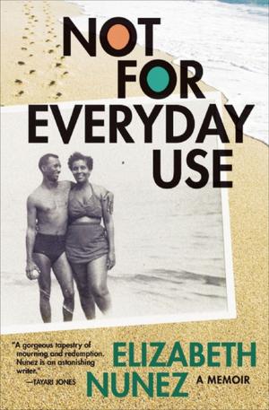 Cover of the book Not for Everyday Use by Joe Meno