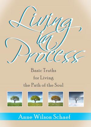 Book cover of Living in Process