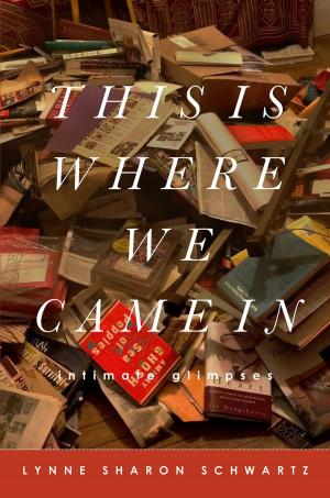 Book cover of This Is Where We Came In