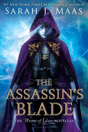 Cover of the book The Assassin's Blade by Lucie Whitehouse