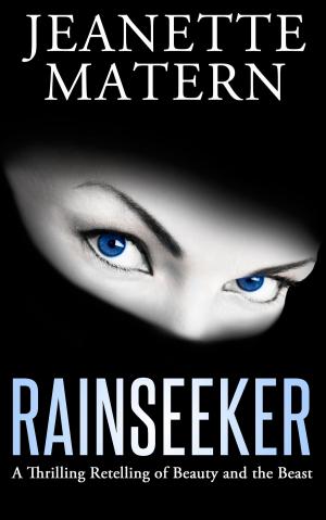 Cover of the book Rainseeker by Jim McHale, Chohwora Udu