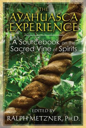 Cover of the book The Ayahuasca Experience by Stewart Edwards