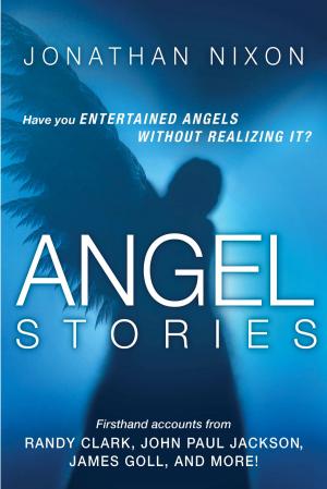Cover of the book Angel Stories by Mo Mydlo