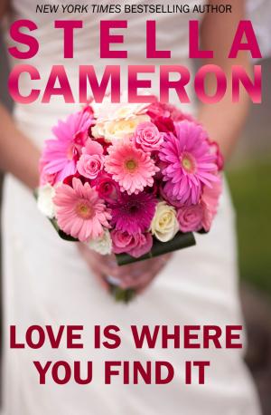 Cover of the book Love is Where You Find It by Darren   Worrow
