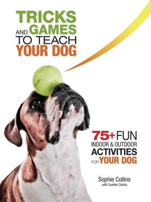 Cover of the book Tricks and Games to Teach Your Dog by Stacey Kubyn, Layne Grether