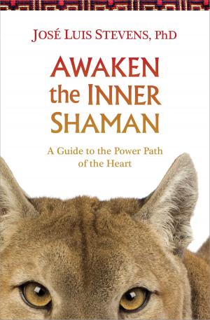 Cover of the book Awaken the Inner Shaman by Friedemann Schaub MD PhD
