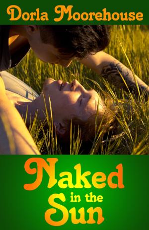Cover of the book Naked in the Sun by Julian Keys