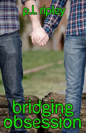 Cover of the book Bridging Obsession by Kailin Morgan