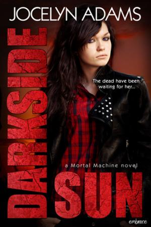 Cover of the book Darkside Sun by Jenna Bayley-Burke