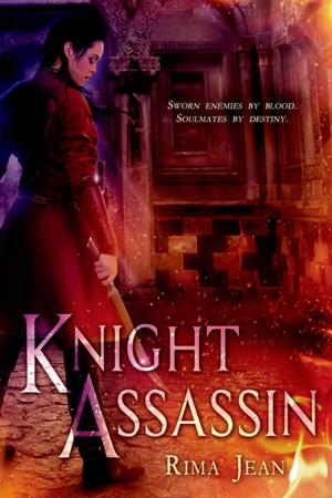 Cover of the book Knight Assassin by N.J. Walters