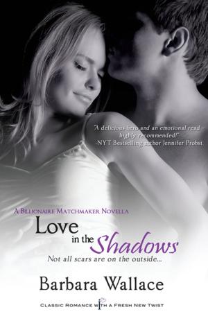 Cover of the book Love in the Shadows by Joely Sue Burkhart