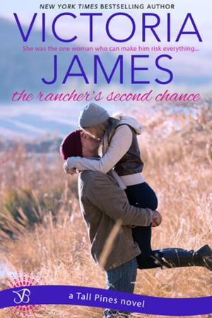 Book cover of The Rancher's Second Chance