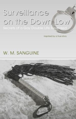 Cover of the book Surveillance on The Down-Low by Barry Cheskin