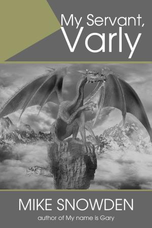 bigCover of the book My Servant, Varly by 