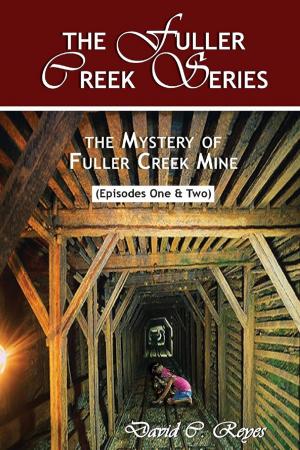bigCover of the book The Fuller Creek Series by 