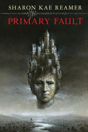 Book cover of Primary Fault