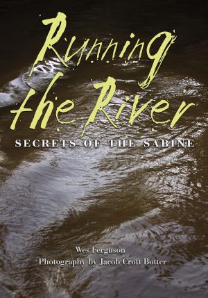 Cover of the book Running the River by James H. Willbanks