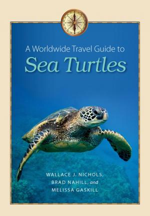 Cover of the book A Worldwide Travel Guide to Sea Turtles by José Enrique de la Peña