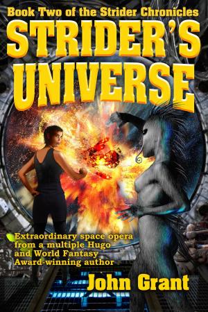 Cover of the book Strider's Universe by Larry Correia, Mike Kupari