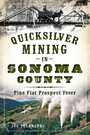 Cover of the book Quicksilver Mining in Sonoma County by John Martin Smith
