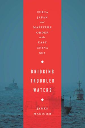 Book cover of Bridging Troubled Waters