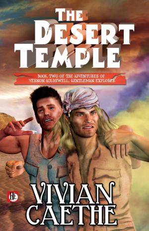 Book cover of The Desert Temple