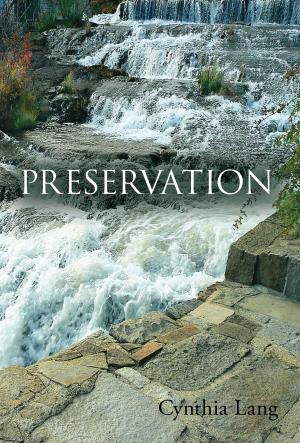 Cover of the book Preservation by Vance Bachelder