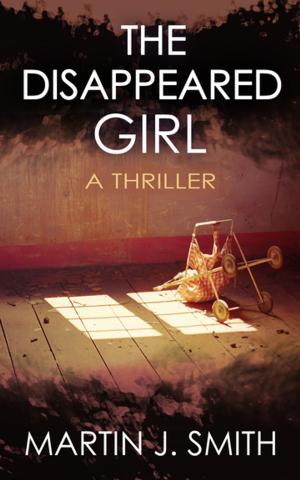 Cover of the book The Disappeared Girl by Newton Thornburg