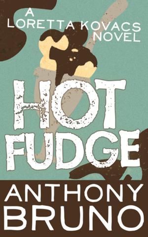 Cover of the book Hot Fudge by Deborah Chester