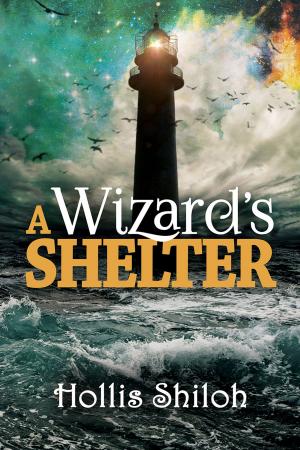 bigCover of the book A Wizard's Shelter by 