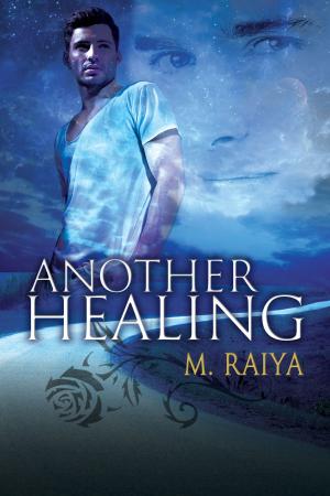 Cover of the book Another Healing by Eve Silver