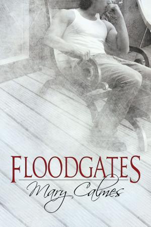 Cover of the book Floodgates by Charlie Cochet