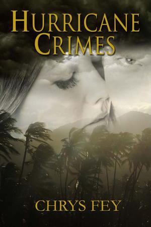 Book cover of Hurricane Crimes