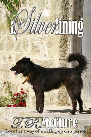 Cover of the book A Silver Lining by Misty  Simon