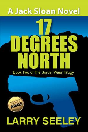Cover of the book 17 Degrees North by Cynthia Holzapfel