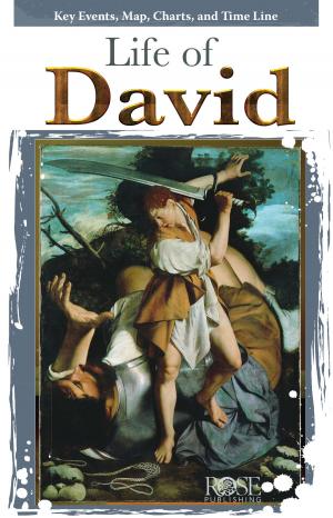 Cover of the book Life of David by Teresa Skinner, Gordon Skinner, Annella Whitehead