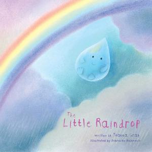Cover of the book The Little Raindrop by Sean Bryan
