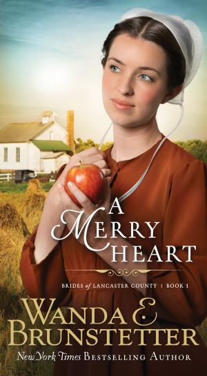 Cover of the book Merry Heart by Bonnie Blythe, Pamela Griffin, Kelly Eileen Hake, Gail Gaymer Martin, Tamela Hancock Murray, Jill Stengl
