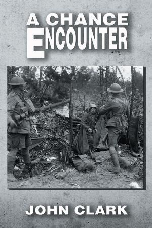 Cover of the book A Chance Encounter by Frankie Telfer Caird