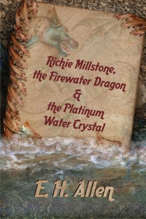Cover of the book Richie Millstone, the Firewater Dragon & the Platinum Water Crystal by Pat McDonald